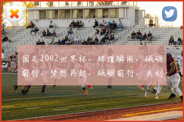国足2002世界杯，辉煌瞬间，砥砺前行，梦想再起，砥砺前行，共创辉煌
