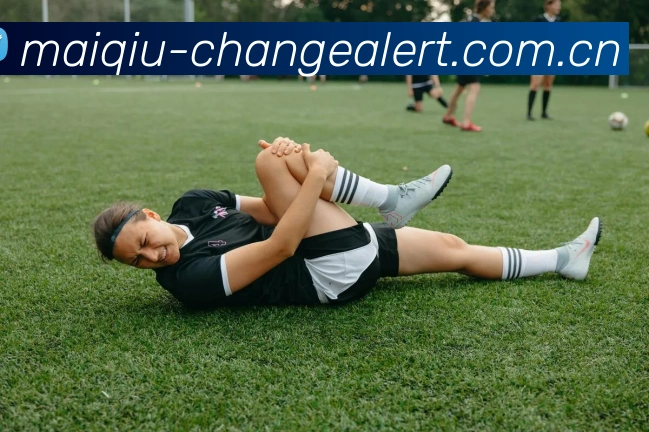 多彩内容专区